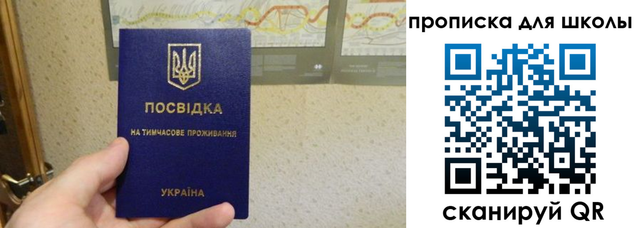 найти адрес прописки в Новом Осколе